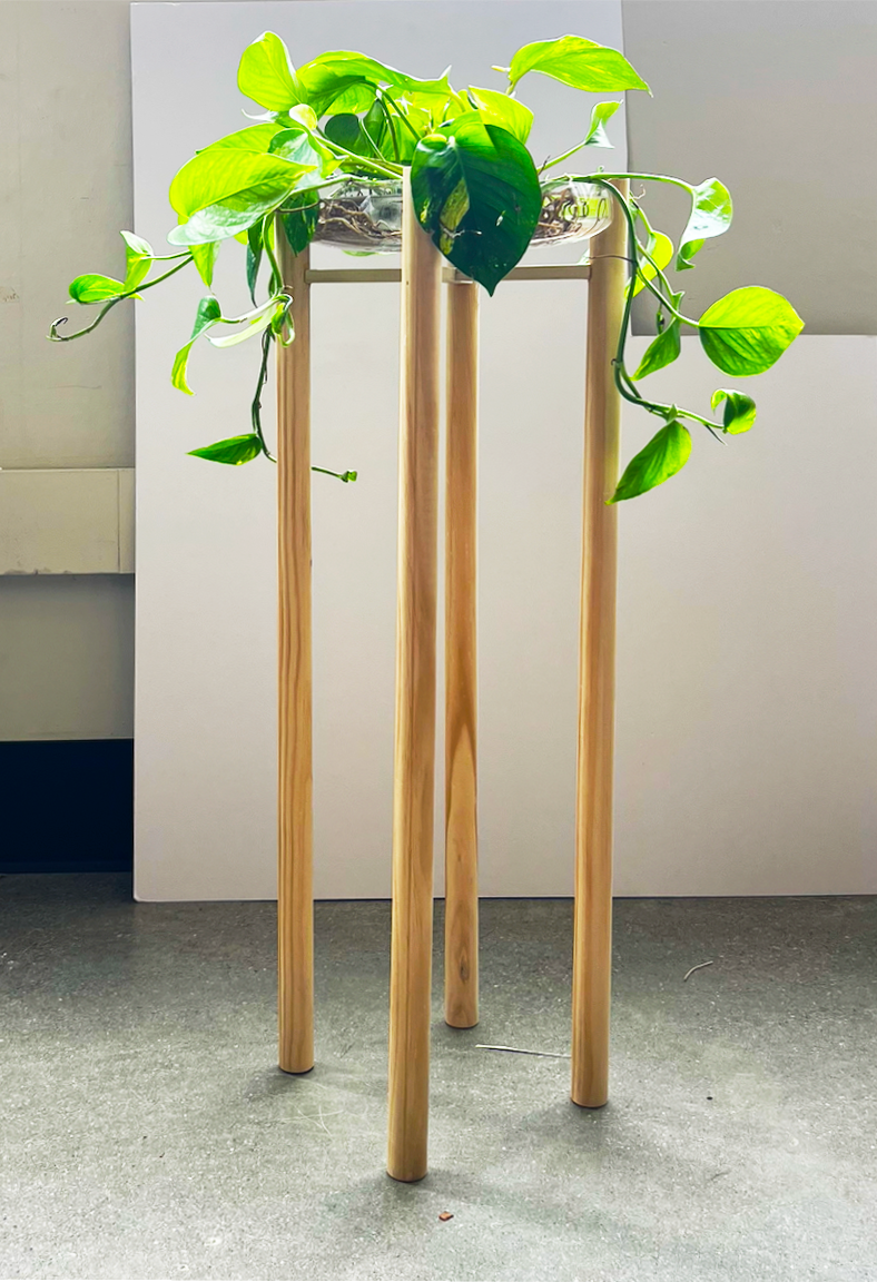 Wooden plant stand holding a pothos